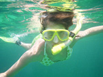 Snorkling bland Similand Islands korallrev.